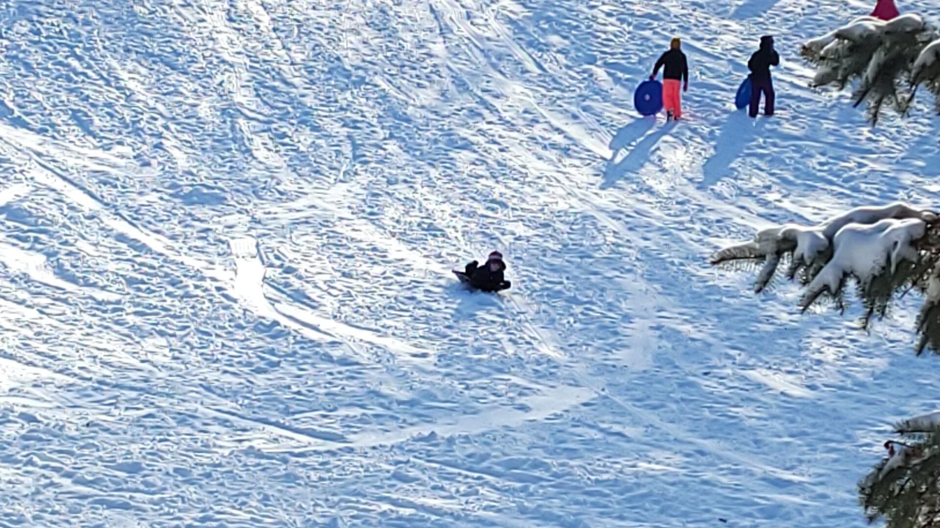 20201230_130338.jpg
